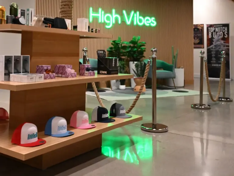 cannavibes elmwood park dispensary