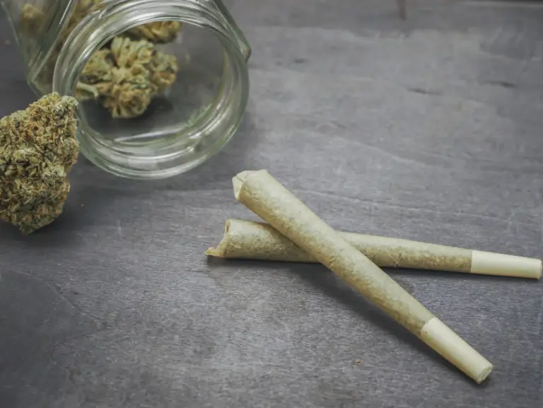 weed prerolls elmwood park nj