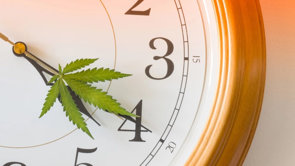 Clock face with a cannabis leaf on the clock hands pointing to 4 o'clock.