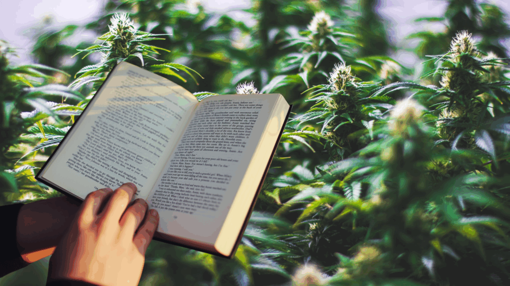 Hand holding an open book in front of tall, green cannabis plants.