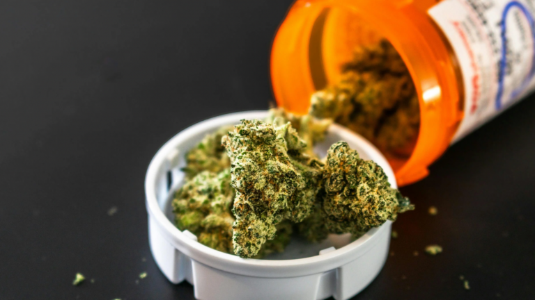 New Jersey cannabis nugs in an orange prescription bottle.