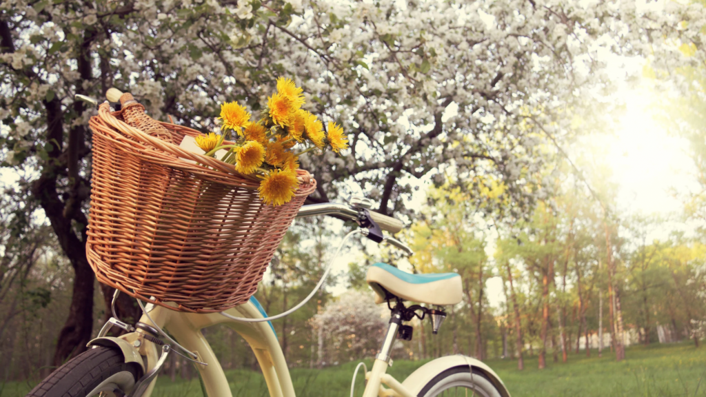 Things to Do This Spring in Elmwood Park