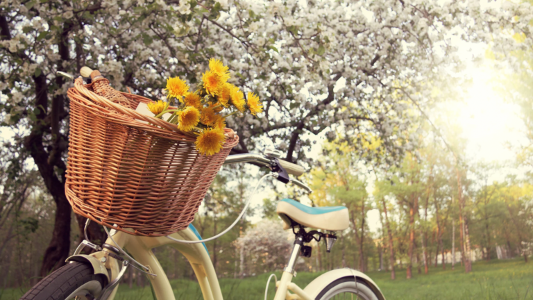 Things to Do This Spring in Elmwood Park