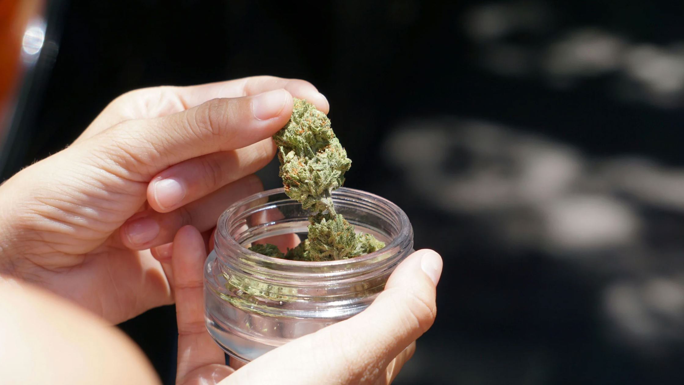 hand holding glass jar of cannabis