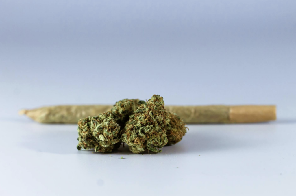 cannabis flower and preroll