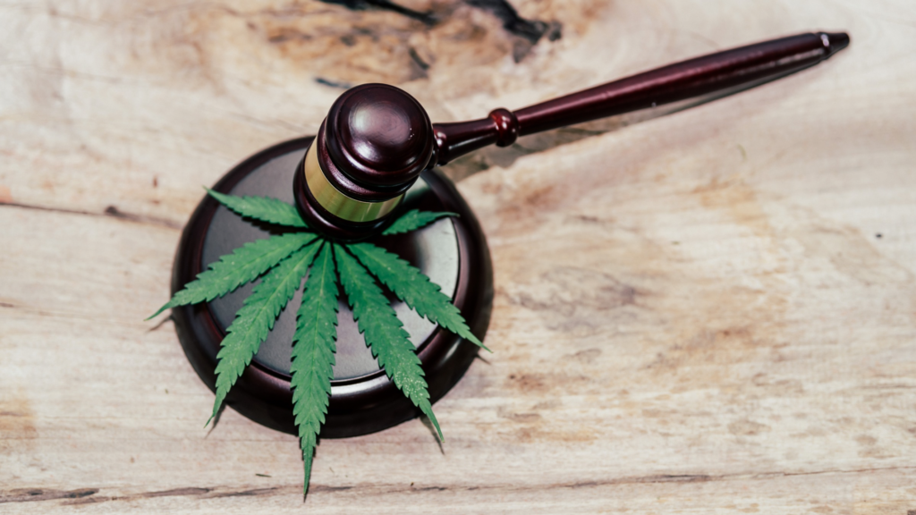 Gavel hitting down on top of a weed leaf on a marble surface.
