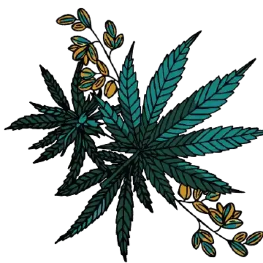 cropped-Cannavibes-FAQ-Flower.webp cropped-Cannavibes-FAQ-Flower.webp